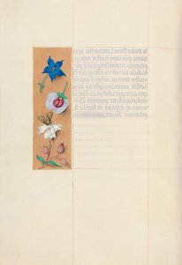 Stunden der Königin Isabella der Katholischen, Königin von Spanien: Fol. 71v, um 1500
