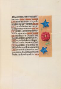 Stundenbuch der Königin Isabella der Katholischen, Königin von Spanien: Fol. 74r, ca. 1500 von Master of the First Prayerbook of Maximillian
