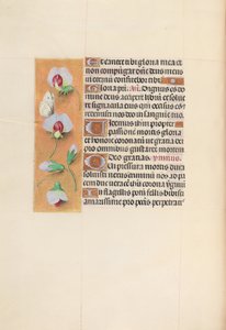 Stundenbuch der Königin Isabella der Katholischen, Königin von Spanien: Fol. 74v, um 1500 von Master of the First Prayerbook of Maximillian