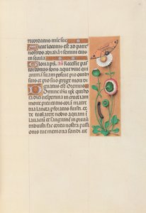 Stundenbuch der Königin Isabella der Katholischen, Königin von Spanien: Fol. 76r, um 1500 von Master of the First Prayerbook of Maximillian