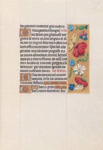 Stundenbuch der Königin Isabella der Katholischen, Königin von Spanien: Fol. 83r, ca. 1500 von Master of the First Prayerbook of Maximillian