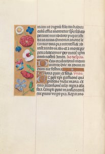 Stundenbuch der Königin Isabella der Katholischen, Königin von Spanien: Fol. 84v, ca. 1500 von Master of the First Prayerbook of Maximillian