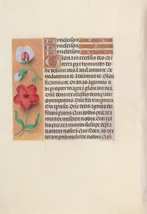 Stundenbuch der Königin Isabella der Katholischen, Königin von Spanien: Fol. 89v, ca. 1500 von Master of the First Prayerbook of Maximillian