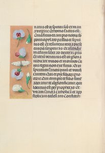 Stundenbuch der Königin Isabella der Katholischen, Königin von Spanien: Fol. 91v, um 1500