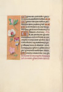 Stundenbuch der Königin Isabella der Katholischen, Königin von Spanien: Fol. 92v, ca. 1500 von Master of the First Prayerbook of Maximillian