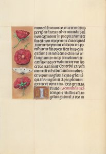 Stundenbuch der Königin Isabella der Katholischen, Königin von Spanien: Fol. 93v, ca. 1500
