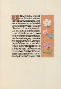 Stundenbuch der Königin Isabella der Katholischen, Königin von Spanien: Fol. 95r, um 1500