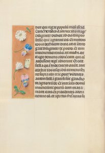 Stundenbuch der Königin Isabella der Katholischen, Königin von Spanien: Fol. 95v von Master of the First Prayerbook of Maximillian