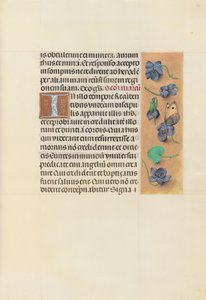 Stundenbuch der Königin Isabella der Katholischen, Königin von Spanien: Fol. 96r, um 1500