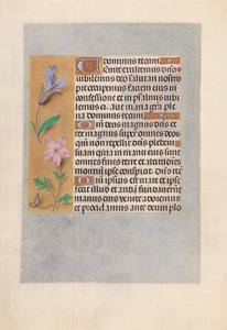 Stunden der Königin Isabella der Katholischen, Königin von Spanien: Fol. 98v, ca. 1500 von Master of the First Prayerbook of Maximillian