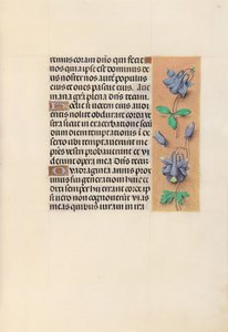 Stundenbuch von Königin Isabella der Katholischen, Königin von Spanien: Fol. 99r, ca. 1500 von Master of the First Prayerbook of Maximillian