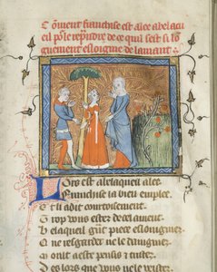 Miniatur aus einem Manuskript des Roman de la Rose von Guillaume de Lorris und Jean de Meun, ca. 1365 von Master of the Rose novels