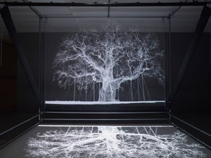 Albion, 2017 von Mat Collishaw