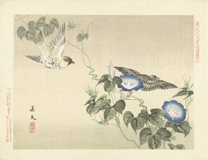 Zwei Vögel fliegen bei blauer Winde