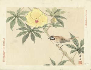 Vogel auf Ast mit gelber Blume
