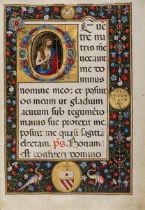 Initiale D: Johannes der Täufer