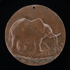 Der Malatesta-Elefant auf einer Wiese [Rückseite], 1446 von Matteo di Andrea de Pasti