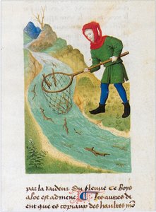 Le Livre des simples medecines - Übersetzung ins Französische aus dem lateinischen Manuskript des 12. Jahrhunderts von Matthaeus Platearius