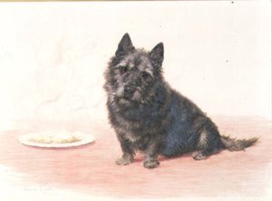 Abendessen - ein schottischer Terrier sitzt neben einem Teller von Maud Earl