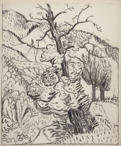 Baum am Berghang, um 1930 von Maud Hunt Squire