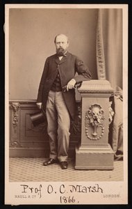 Porträt von Othniel Charles Marsh 1831-1879, 1866