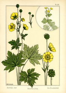Die Butterblume von Maurice Pillard Verneuil