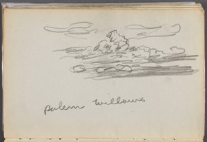 Skizzenbuch, Die Dells, Nr. 127, Seite 184: "Salem Willows"