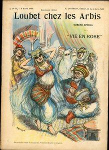 Leben in Rosa von Maurice Radiguet