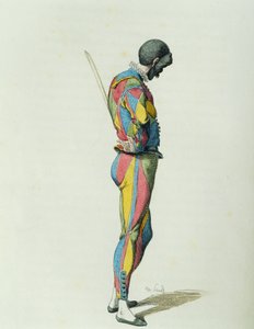 Harlekin im Jahr 1858