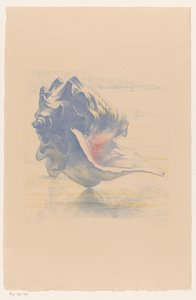Muschel von Maurits van der Valk (signed by artist)