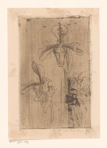 Zwei Orchideen und ein Wagen am Strand von Maurits van der Valk (signed by artist)