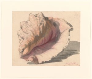 Muschel von Maurits van der Valk