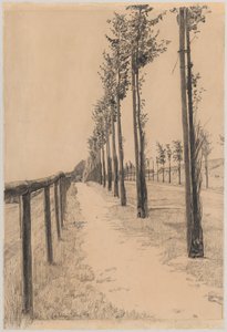 Baumallee entlang der Straße von Max Klinger