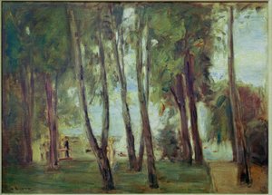 Der Garten des Künstlers in Berlin-Wannsee von Max Liebermann