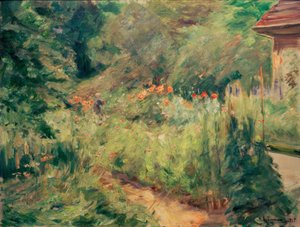 Der Nutzgarten in Wannsee nach Nordwesten