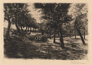 Schafherde unter Bäumen, 1891 von Max Liebermann