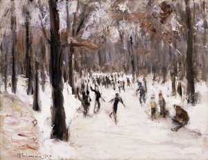 Eisläufer im Berliner Tiergarten