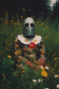 Ritter in Blüte