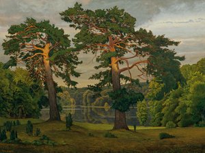 Kiefern am Waldrand von Max Zaeper