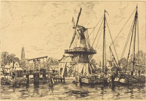 Ein Haarlem