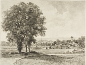 Landschaft