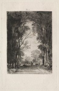 Reisender auf einer Straße im Wald