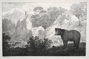 Gebirgslandschaft mit Bär im Vordergrund von Maximilian Josef Wagenbauer