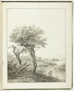 Baumstudien für angehende Landschaftszeichner
