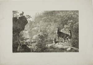 Der Hirsch und die Gämse von Maximilian Josef Wagenbauer