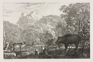 Wildschwein, Wildkatze und Luchs von Maximilian Josef Wagenbauer