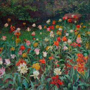 Tulpen
