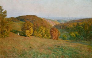 Wien vom Kobenzl aus von Maximilian Suppantschitsch