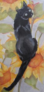 Schwarze Katze unter Sonnenblumen