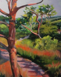 Sonniger Waldweg von Maxine Shore